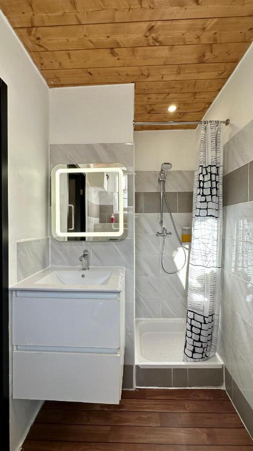 Lion'S Room - 2 Minute Walk From Palais Des Festivals And Beaches Cannes Bagian luar foto